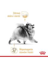 ROYAL CANIN Pomeranian Adult 500g karma sucha dla psów dorosłych rasy Pomeranian