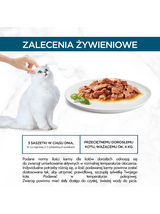 Purina Gourmet Perle Mini Fileciki w sosie Karma dla kotów 60x85g