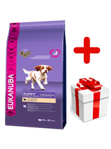 EUKANUBA Puppy&Junior Lamb&Rice Large Breeds 12kg + niespodzianka dla psa GRATIS!