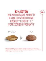 ROYAL CANIN Ageing Sterilised 11+ 4kg karma sucha dla kotów dojrzałych po 11 roku życia, sterylizowanych