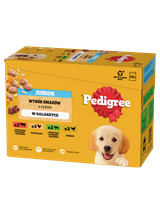 PEDIGREE Junior mix smaków w galaretce 12x100g