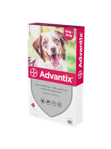 Advantix - dla psów 10-25kg (pipeta 2,5ml)+ Cestal Dog Plus tabletki na odrobaczanie psów 2 sztuki