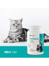 Lab-v Pet Care Box MEDIUM – Zestaw prezentowy dla psa i kota