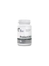 VETEXPERT Prolactino Large Breed 40tabl