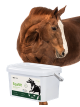 Lab-v Horse Care Box – Zestaw prezentowy dla konia