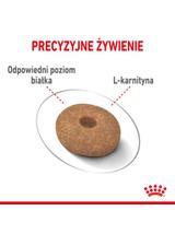 ROYAL CANIN CCN Mini Light Weight Care 3kg karma sucha dla psów dorosłych, ras małych z tendencją do nadwagi