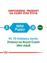 ROYAL CANIN Mini Puppy 8kg  + niespodzianka dla psa GRATIS!