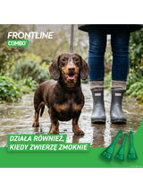 FRONTLINE Combo Spot -On Pies S 2-10kg (pipeta 3x 0,67ml)