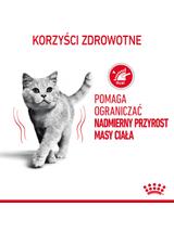 ROYAL CANIN Light  Weight Care12x85g karma mokra w sosie dla kotów dorosłych z tendencją do nadwagi + NIESPODZIANKA DLA KOTA GRATIS!!