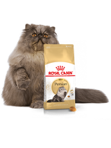 ROYAL CANIN Persian Adult 10kg karma sucha dla kotów dorosłych rasy perskiej + niespodzianka dla kota GRATIS!