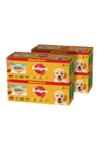 PEDIGREE Junior mokra karma dla szczeniąt w galaretce 4x(40x100g)
