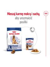ROYAL CANIN Maxi Adult 5+ 15kg karma sucha dla psów starszych, od 5 do 8 roku życia, ras dużych / Opakowanie uszkodzone (8768,8995)!!!