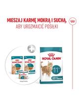 ROYAL CANIN mokra karma dla kotów, Senior Ageing 11+, sos12x85 g