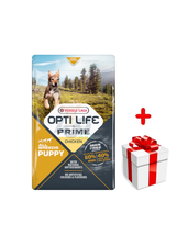 VERSELE-LAGA Opti Life Prime Puppy 2,5kg - karma bezzbożowa dla szczeniąt z kurczakiem + niespodzianka dla psa GRATIS!