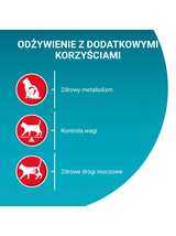 Purina One Cat Sterilcat Karma z wołowiną dla kota 1,5kg