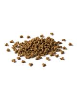PURINA Cat Chow Kitten Karma bogata w kurczaka 15kg