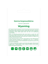 Kanna Wyoming pomarańczowa 1szt.