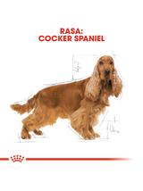 ROYAL CANIN Cocker Spaniel Adult 11,4kg karma sucha dla psów dorosłych rasy cocker spaniel/ opakoanie uszkodzone (7683)