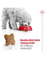 ROYAL CANIN Mini Adult 800g karma sucha dla psów dorosłych, ras małych + niespodzianka dla psa GRATIS