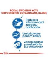 ROYAL CANIN  Indoor 27 4kg karma sucha dla kotów dorosłych, przebywających wyłącznie w domu + niespodzianka dla kota GRATIS!