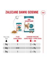 ROYAL CANIN mokra karma dla kota, Senior Ageing 15+, sos 12x85g