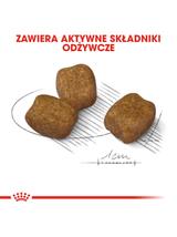 ROYAL CANIN CCN Mini Dental Care 8kg karma sucha dla psów dorosłych, ras małych, redukująca powstawanie kamienia nazębnego
