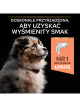 PRO PLAN Sensitive Skin Puppy Karma dla szczeniąt bogata w łososia 12kg