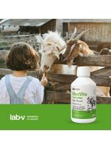 Lab-v MaxiVita Complex - mieszanka paszowa uzupełniająca – multiwitaminowa, w formie płynnej, przeznaczona dla drobiu grzebiącego, drobiu wodnego, gołębi, świń, bydła, owiec i kóz 250 ml