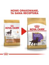 ROYAL CANIN Labrador Retriever Sterilised Adult 12kg + niespodzianka dla psa GRATIS!