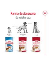 ROYAL CANIN Medium Adult 10x140g karma mokra w sosie dla psów dorosłych ras średnich