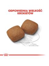 ROYAL CANIN Giant Junior 15kg karma sucha dla szczeniąt  od 8 do 18/24 miesiąca życia, ras olbrzymich + niespodzianka dla psa GRATIS!