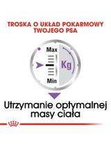 ROYAL CANIN CCN Sterilised 12x85g karma mokra - pasztet dla psów dorosłych, sterylizowanych