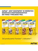 ELANCO AdTab 450mg tabletka na pchły i kleszcze dla psów >11 - 22 kg