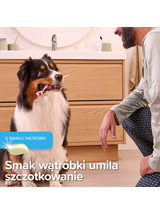 BEAPHAR-PASTA DO ZĘBÓW 100G - pasta do zębów o smaku wątróbki dla psów i kotów