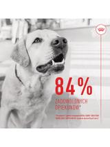 Royal Canin Digestion Adult Chews 160g