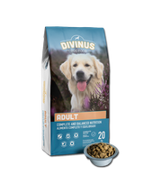 Divinus Adult dla psów dorosłych 20kg
