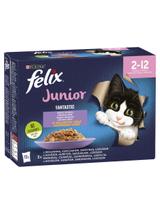 FELIX Fantastic Junior w galaretce 12x85g