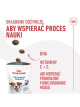 Royal Canin Training Treats 110g