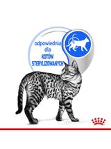 ROYAL CANIN  Indoor  Sterilised Jelly saszetka 12x85g