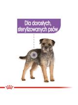 ROYAL CANIN CCN Sterilised 12x85g karma mokra - pasztet dla psów dorosłych, sterylizowanych