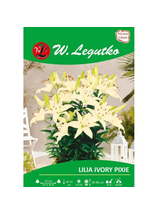 Lilia Ivory Pixie kremowa 1szt.