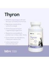 Lab-v Thyron – Wsparcie prawidłowej pracy tarczycy dla psów i kotów 90 kapsułek