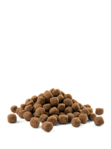 VERSELE-LAGA Opti Life Adult Medium 12,5kg /Opakowanie uszkodzone (8299) !!!
