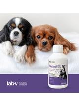 Lab-v Hepasil Dog & Cat preparat na poprawę funkcjonowania wątroby dla psa i kota 250 ml