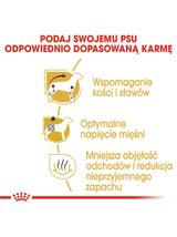 ROYAL CANIN Dachshund 7,5kg karma sucha dla psów dorosłych rasy jamnik + niespodzianka dla psa GRATIS!