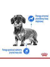 ROYAL CANIN CCN Mini Light Weight Care 8kg karma sucha dla psów dorosłych, ras małych z tendencją do nadwagi