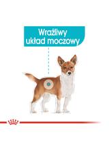 ROYAL CANIN CCN Urinary Care 12x85g karma mokra - pasztet dla psów dorosłych