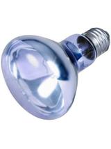 TRIXIE Punktowa lampa grzewcza neodymowa 75 W