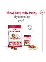 ROYAL CANIN Medium Ageing 10+ 15kg karma sucha dla psów dojrzałych po 10 roku życia, ras średnich