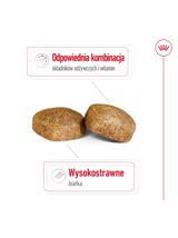 ROYAL CANIN Giant Adult 15kg karma sucha dla psów dorosłych, od 18/24 miesiąca życia, ras olbrzymich